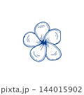 Tropical flower blue botanical line art 144015902