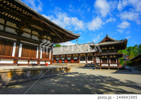 青空と唐招提寺の境内 奈良県 青空と唐招提寺の境内 奈良県 144041995