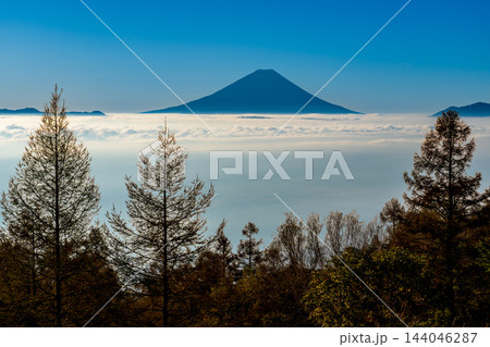 秋の甘利山から朝焼けの雲海に浮かぶ富士山 秋の甘利山から朝焼けの雲海に浮かぶ富士山 144046287