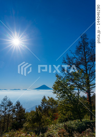 秋の甘利山から朝焼けの雲海に浮かぶ富士山 秋の甘利山から朝焼けの雲海に浮かぶ富士山 144046290