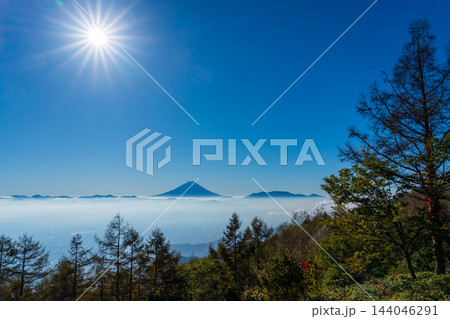 秋の甘利山から朝焼けの雲海に浮かぶ富士山 144046291