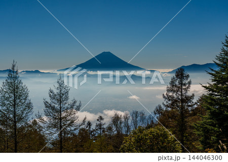 秋の甘利山から朝焼けの雲海に浮かぶ富士山 144046300