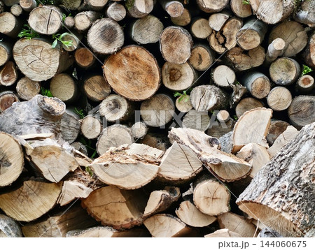 Log cross sections. Detailed view of stacked logs showing rings and bark textures with pattern Log cross sections. Detailed view of stacked logs showing rings and bark textures with pattern 144060675