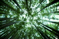 TRAVEL & ENVIRONMENT 2633220