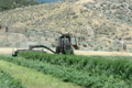 farmer in tractor P HD 1921 2914717
