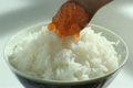 暖かいご飯にイクラ 3940204