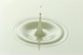 Close up of milk dropping 5925155