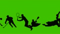 Silhouette sports 7852873