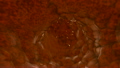 3d intestine 7976142