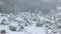 雪降りの白川郷 10043238