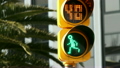 close up of a traffic light in mexico city, with the numbers counting down and a running man 10106999