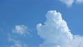 真っ青な夏空と白い雲 11691455