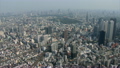 Aerial overhead Metropolitan skyscrapers Business district Tokyo Rail Station  12226512