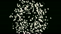 桜吹雪　中央で弾ける 13544645