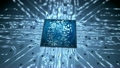 Simulating neuronal processes in the male brain 16274543