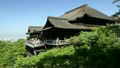 5月　新緑の清水寺舞台 16393277