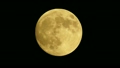 中秋の名月　2015年9月27日 18216720
