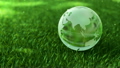 Ecology environment concept, glass globe in the 21355281