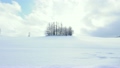 Landscape of Hokkaido and Bie in winter 21399758