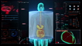 Human the internal organs, Digestion system in UI 23103108