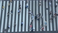 横断歩道 人の往来（数寄屋橋交差点） 23298071