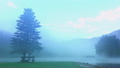 Morning Mist on Forest Lake 23674191