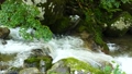 Momiji and mountain stream (Izanagawa) Aichi prefecture Toyota city Inami district 23935435