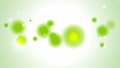 Green shiny circles animated background 25927652