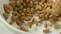 SLOW MOTION: Pet food fall on white dish 26356122