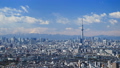 東京タイムラプス　東京都心街並全景　東京スカイツリー　富士山に流れる雲　ティルトアップ 28239459