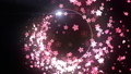 桜 オープニングタイトル 28967246