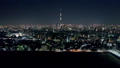 空撮 / 東京の夜景 / スカイツリーと墨田区 29587345