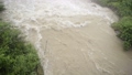 濁流　増水　大雨　災害　河川　水　激流　流れ　自然　環境　 32150358