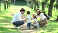 並木道 32367550