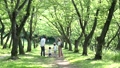並木道 32367551