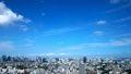 東京都心全景　タイムラプス　7月　青空と雲　タイトルバック　テキストスペースに最適　ティルトダウン 33813614