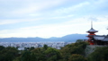 京都　清水寺から望む街並　朝　五重塔　タイムラプス　ティルトダウン 34812313
