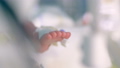 Feet and toes of an infant inside a ICU incubator 37382424