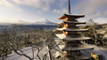 積雪直後の五重塔と富士山 38638996