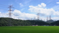 稲と送電線　（6月）タイムラプス　フィックス 42035181