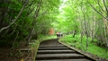 富士山須走口登山道-6057330 43010926