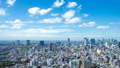 東京・タイムラプス・ワイドで望む都心　渋谷 新宿　原宿　代々木　夏　8k RAWから　ズームイン 43155900