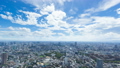 東京ワイド・地平線を望むタイムラプス・六本木より品川　横浜方面望む　背景に最適です　ティルトアップ 43626919