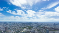 東京ワイド・地平線を望むタイムラプス・六本木より品川　横浜方面望む　背景に最適です　fix 43626920