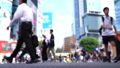 東京・渋谷スクランブル交差点・アウトフォーカス　玉ボケ 43984557