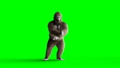 Funny brown gorilla dancing. Super realistic fur and hair. Green screen FullHD animation. 44778843