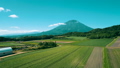 羊蹄山と緑 46620912