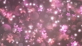 桜 春 イメージ 背景 47403455