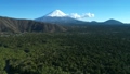 富士山と青木ヶ原樹海を空撮 48780669