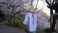 お遍路さんと桜 49596216